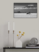 Lost Colors II Poster och Canvastavla