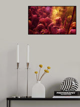 Colorful Life Poster och Canvastavla
