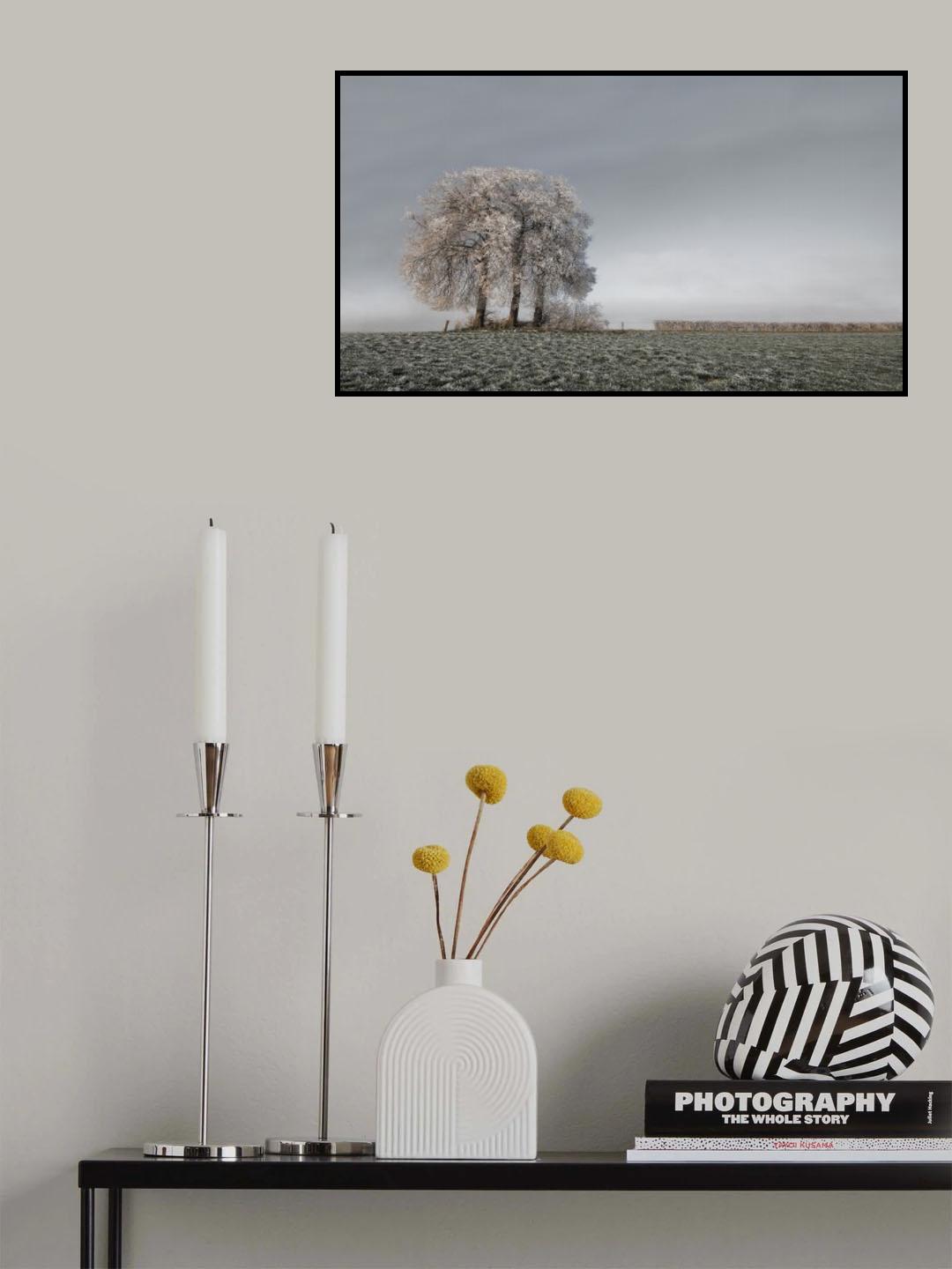 Cold 3 Poster och Canvastavla