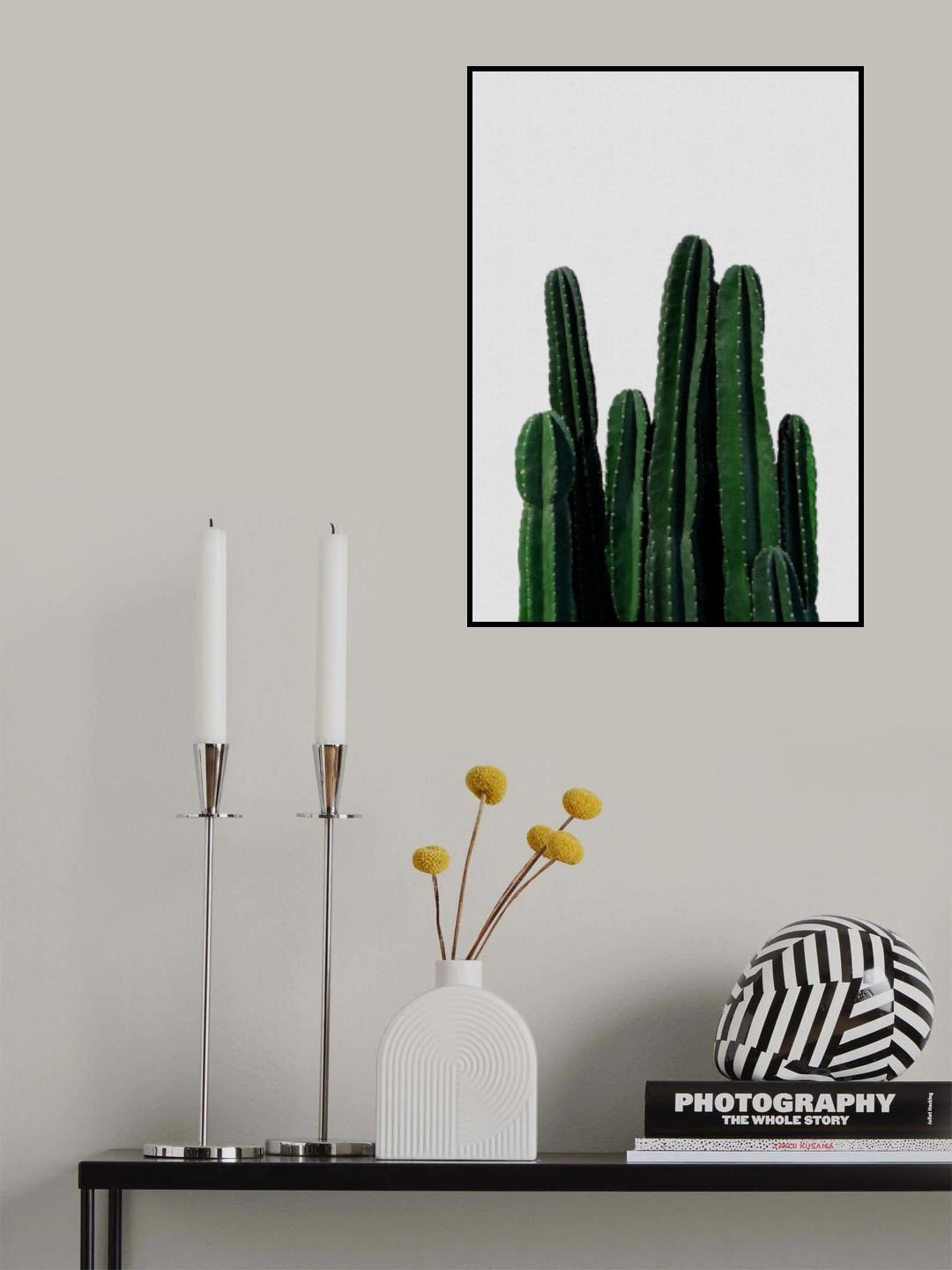 Cactus I Poster och Canvastavla