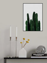 Cactus I Poster och Canvastavla