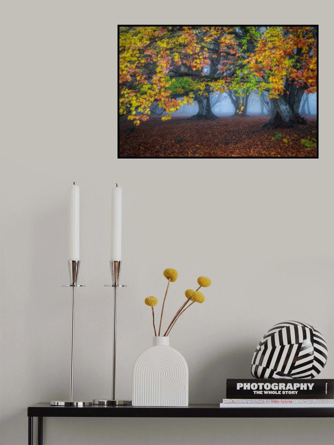 Autumn colors Poster och Canvastavla