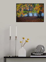 Autumn colors Poster och Canvastavla