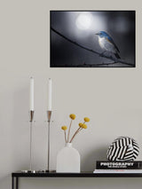 Blue Bird Poster och Canvastavla