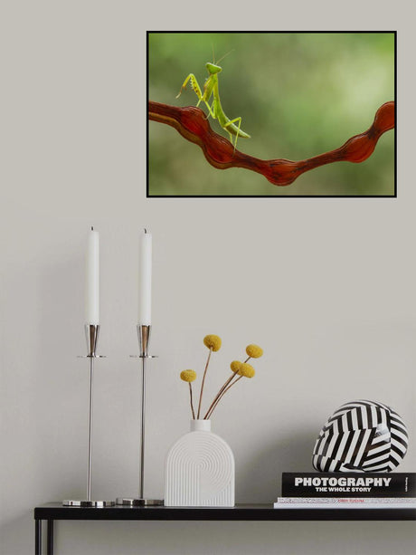 Kungfu Mantish Poster och Canvastavla