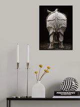 Rhino buttocks Poster och Canvastavla