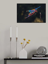 Busy for Feeding Poster och Canvastavla