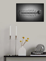 The fish Poster och Canvastavla
