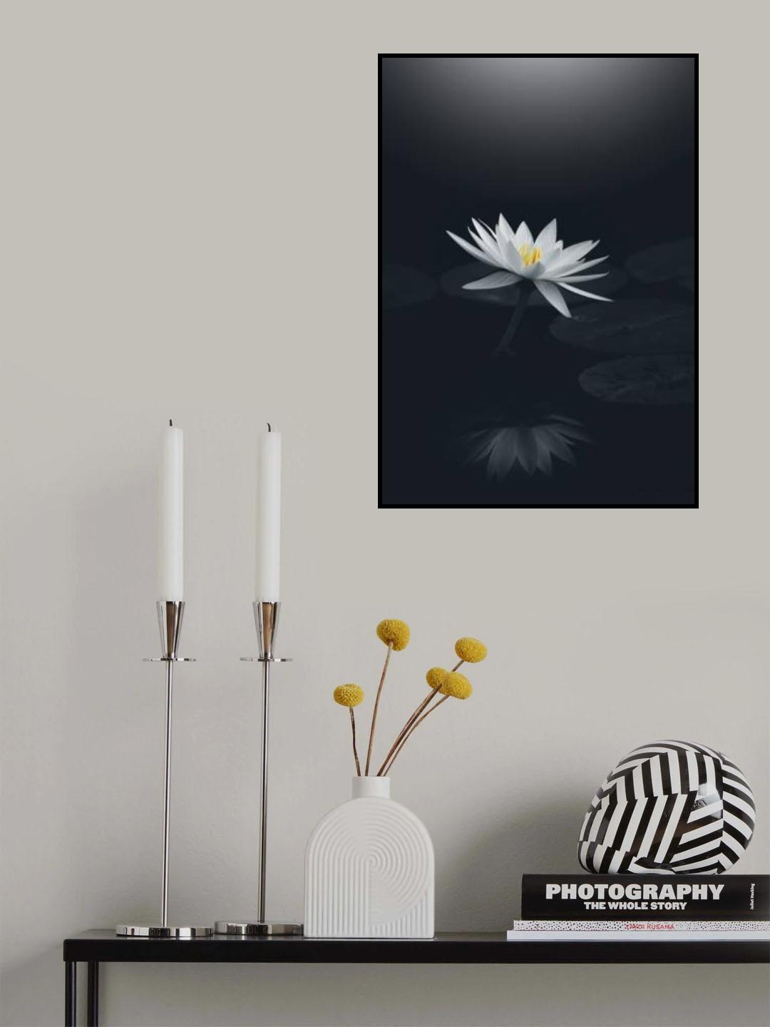 Water mirror Poster och Canvastavla