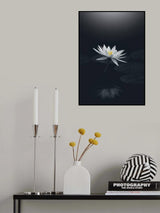 Water mirror Poster och Canvastavla