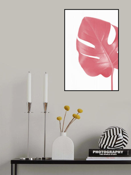 Pink monstera leaf Poster och Canvastavla