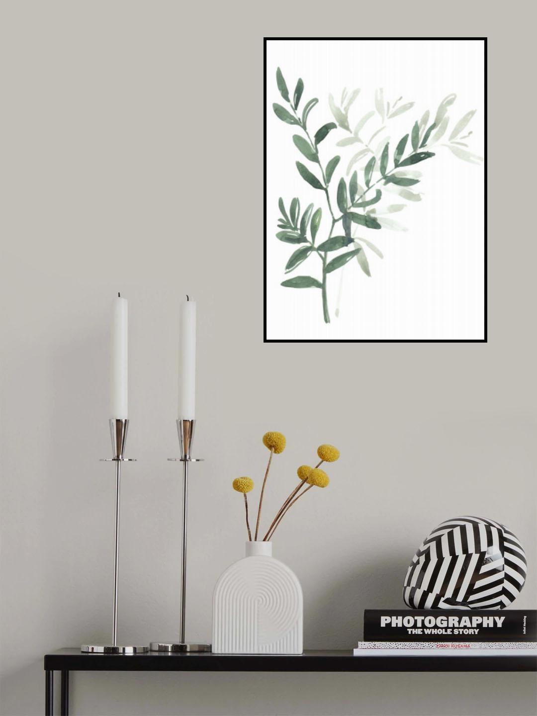 Watercolor laurel branch Poster och Canvastavla