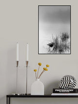 Stripped Poster och Canvastavla