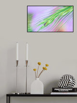 In a storm of colors... Poster och Canvastavla