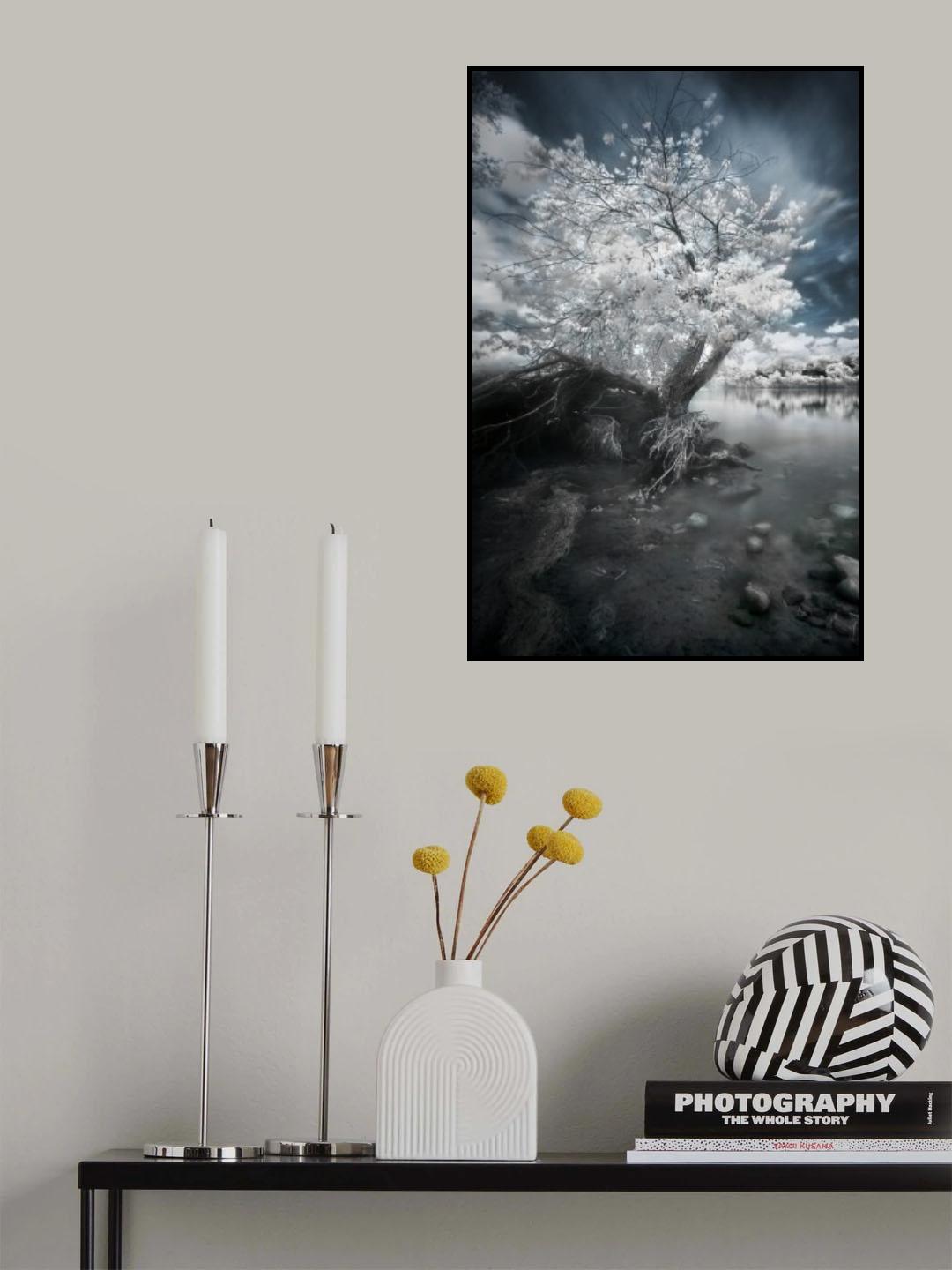 Uprooting Poster och Canvastavla