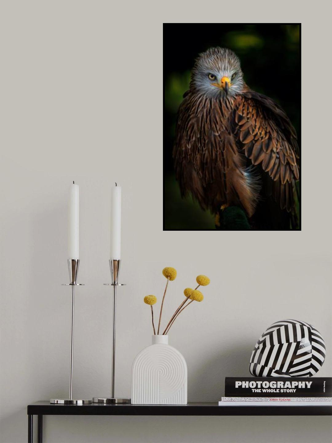 Watchful Poster och Canvastavla