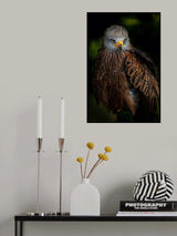 Watchful Poster och Canvastavla