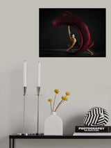 Brace yourself Poster och Canvastavla