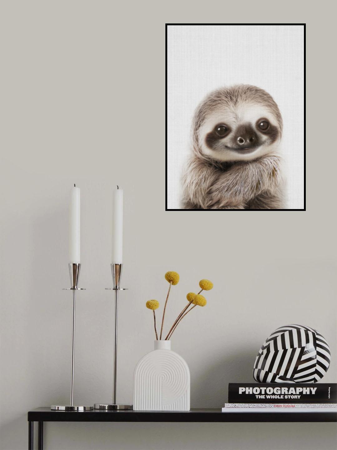 Peekaboo Baby Sloth Poster och Canvastavla