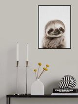 Peekaboo Baby Sloth Poster och Canvastavla