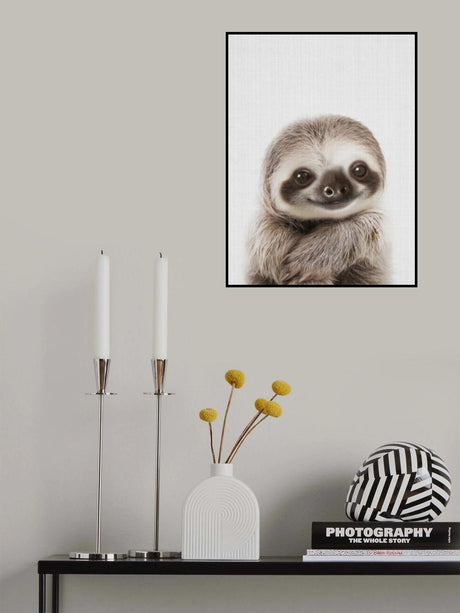 Peekaboo Baby Sloth Poster och Canvastavla