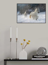 winter joy Poster och Canvastavla