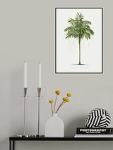Ii Areca Monostachya Poster och Canvastavla