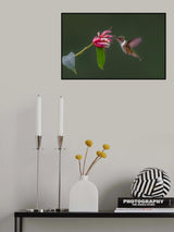 The Volcano Poster och Canvastavla