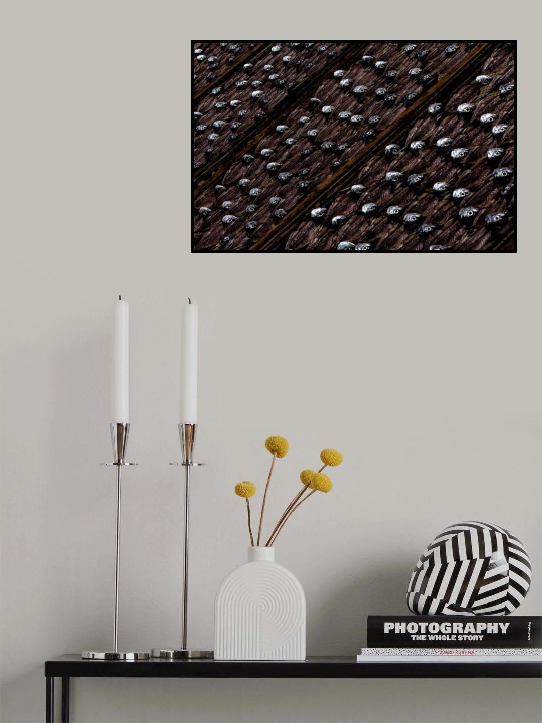 Fish drying in the sun Poster och Canvastavla