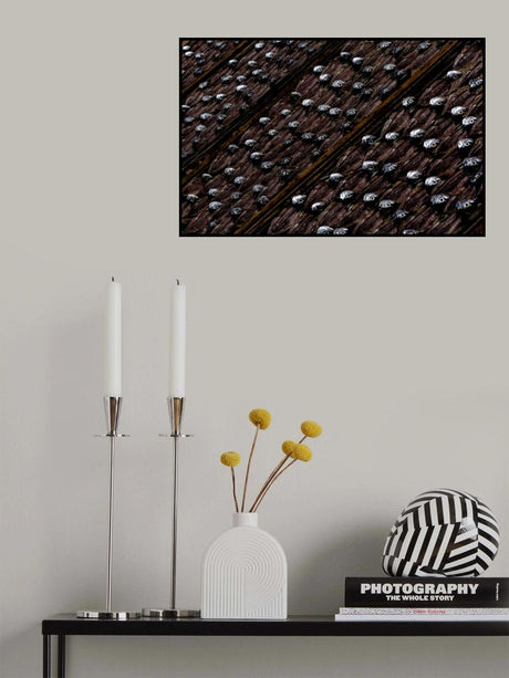 Fish drying in the sun Poster och Canvastavla