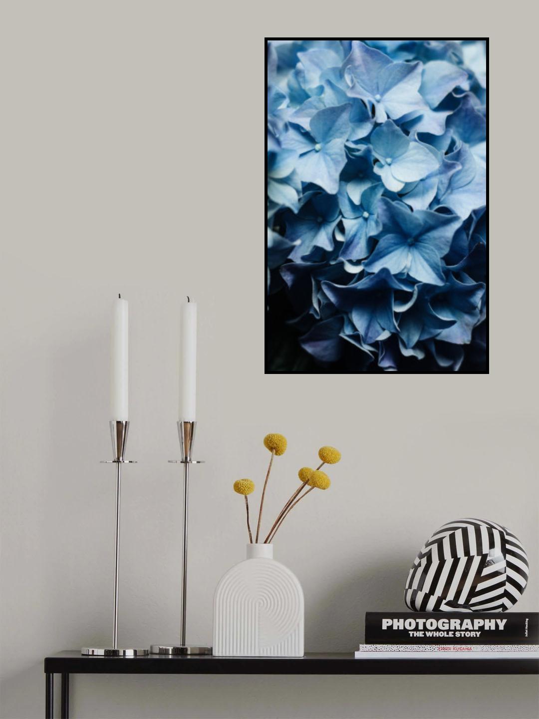 I see u - Blue Hydrangea Poster och Canvastavla