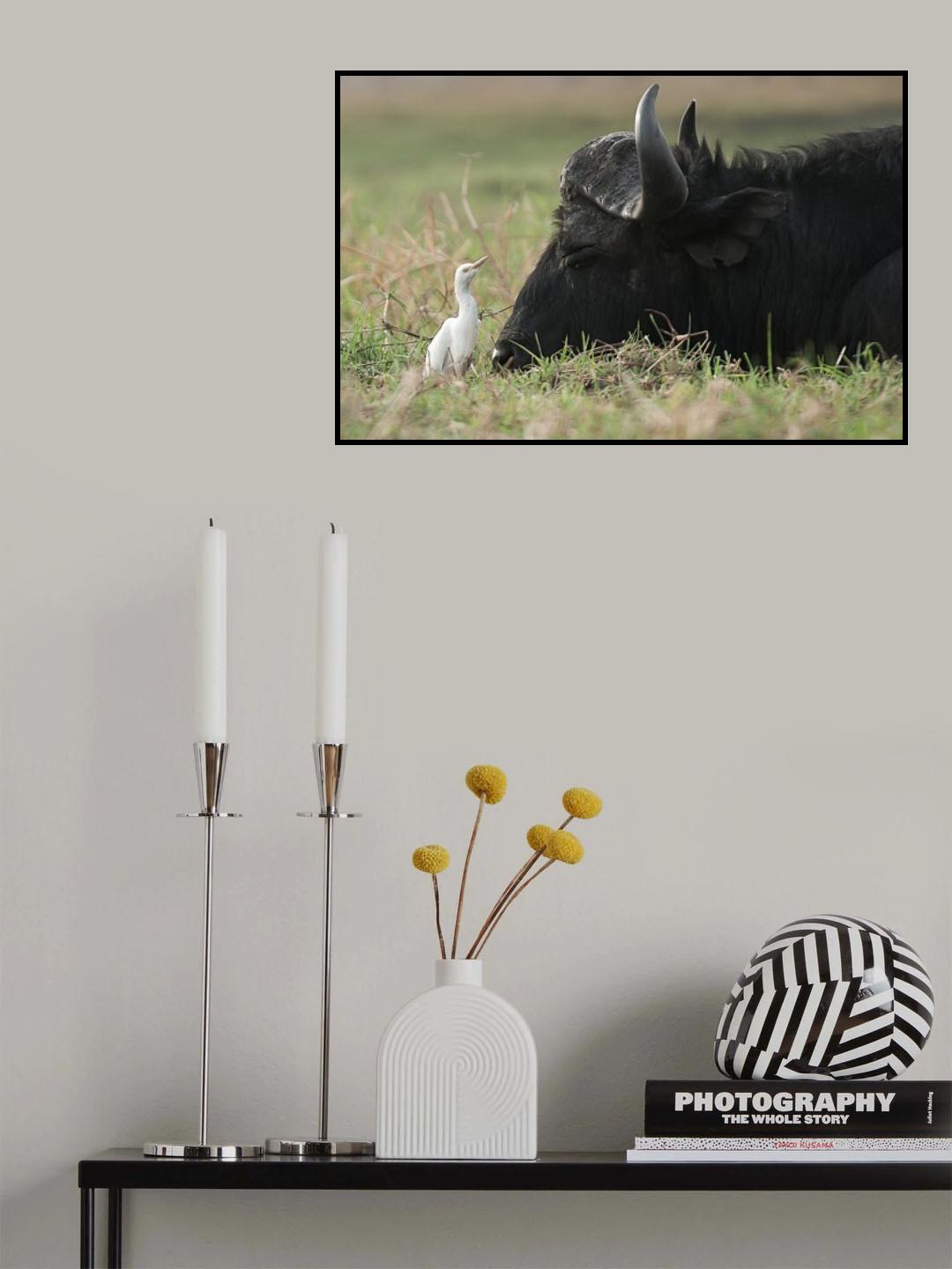 Friends for life Poster och Canvastavla