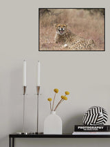 Emotion Poster och Canvastavla