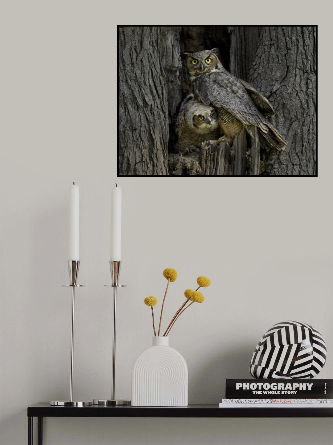 Taking care Poster och Canvastavla