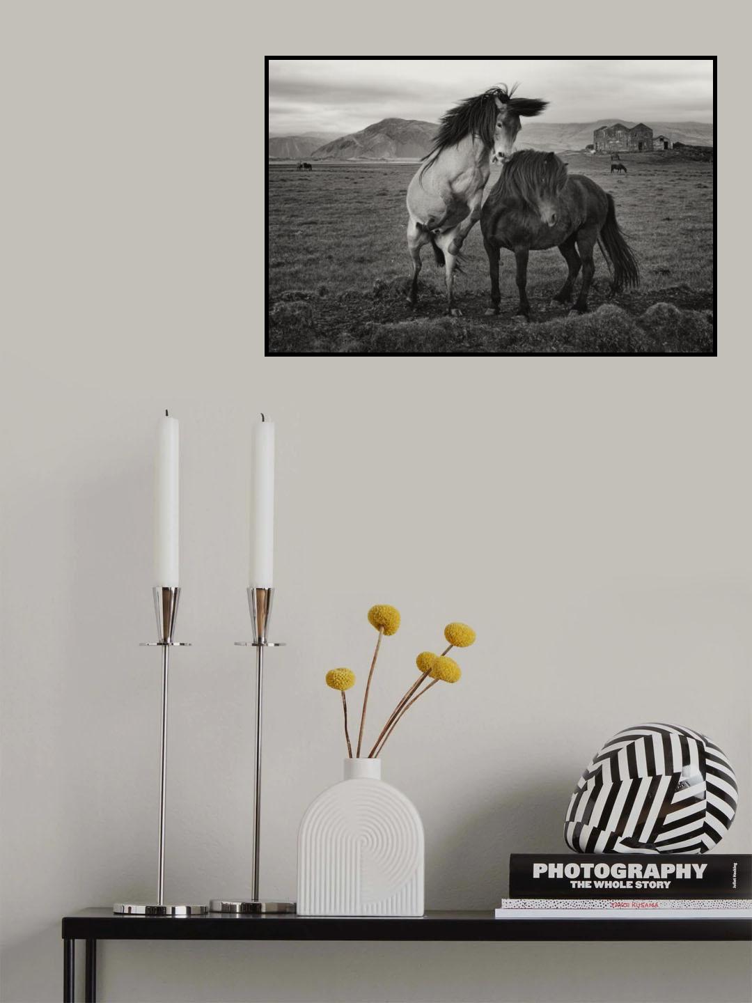 Wild horses Poster och Canvastavla