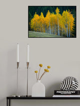 Autumn Poster och Canvastavla