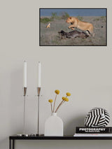 No one steal the meat from me! Poster och Canvastavla