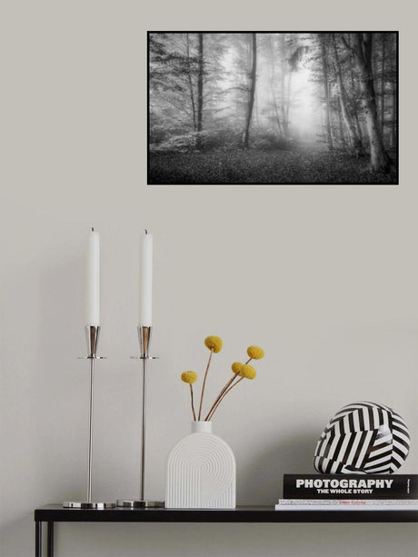 In the woods Poster och Canvastavla