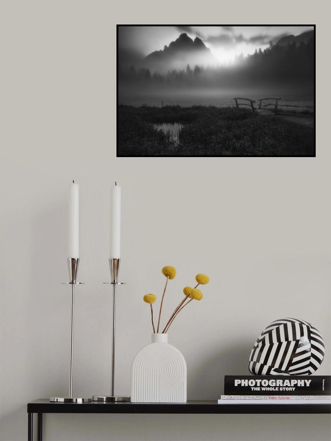 Colossal Shade Poster och Canvastavla