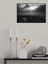 Colossal Shade Poster och Canvastavla