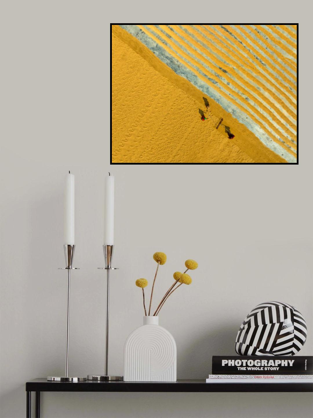 Harvesting paddy Poster och Canvastavla