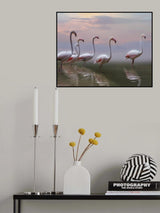 Flamingo Sunset Poster och Canvastavla
