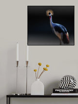 crane Poster och Canvastavla