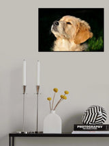 Bea Poster och Canvastavla
