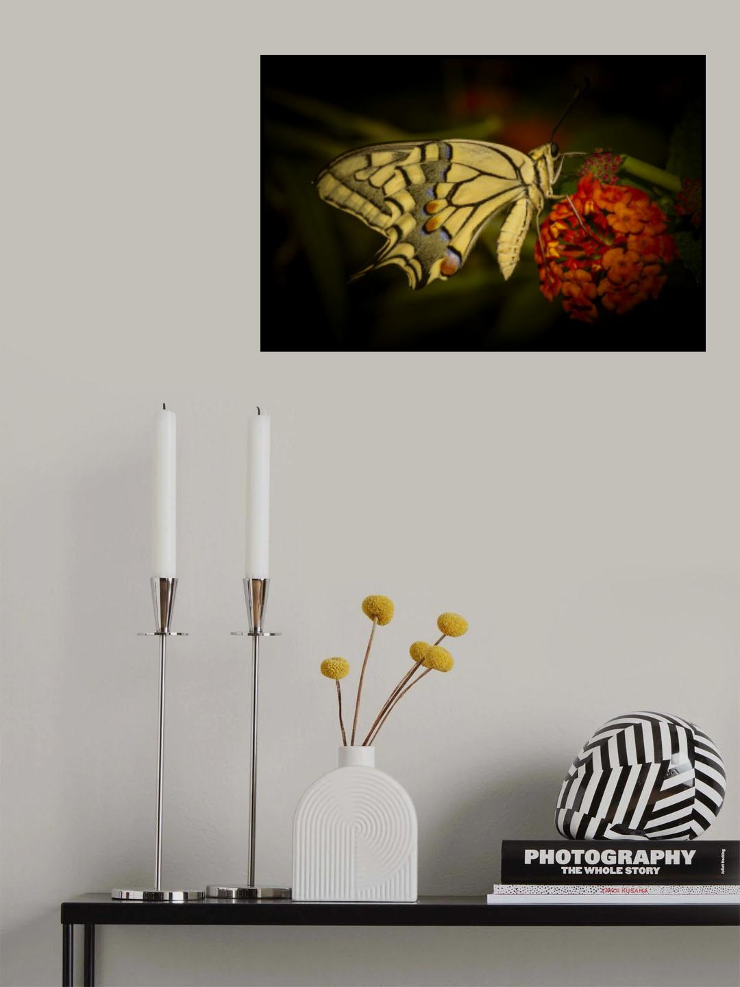 butterfly Poster och Canvastavla
