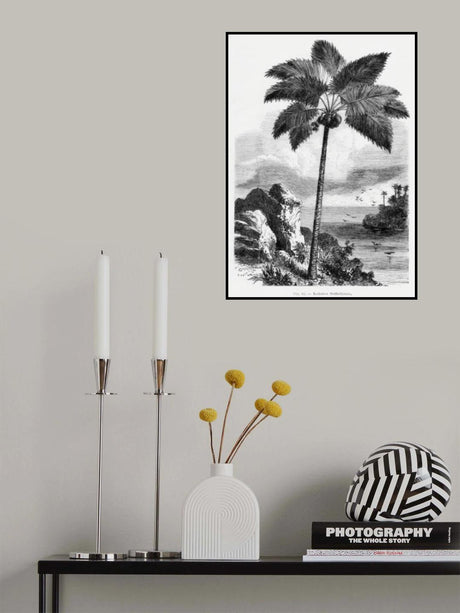 Vintage Palm Tree Drawing I Poster och Canvastavla
