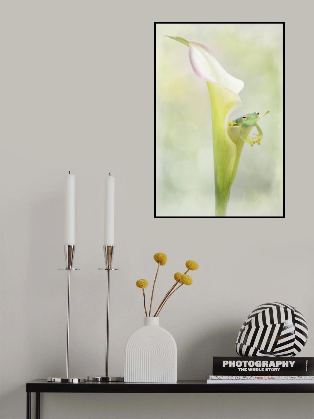 Tiny Glass Tree Frog on a Lily Poster och Canvastavla
