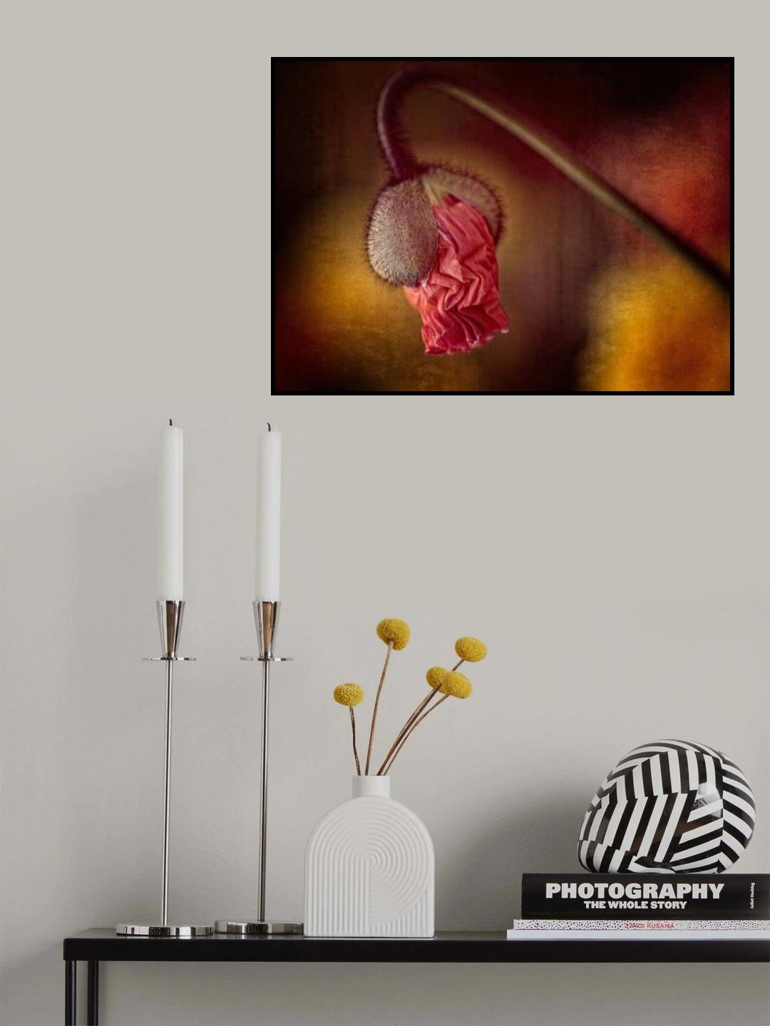 éclosion Poster och Canvastavla