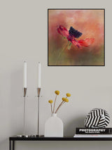 Dramatic Red Poppy Poster och Canvastavla