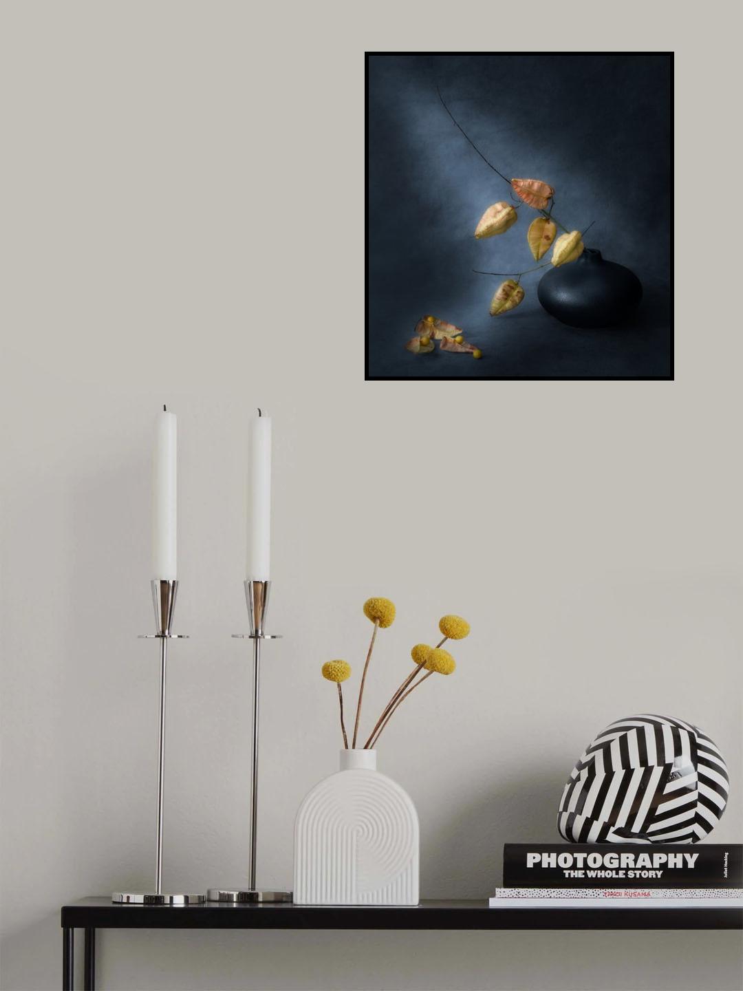 Seeds in Husks Poster och Canvastavla